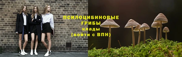 тгк Алексин