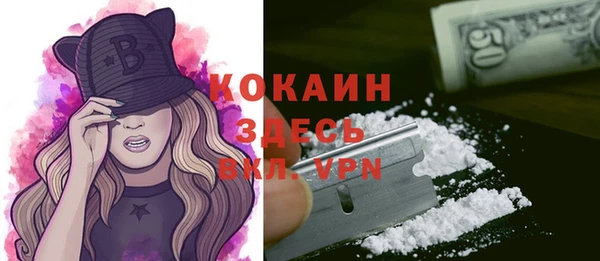 спайс Алзамай