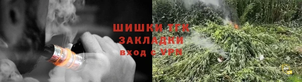 тгк Алексин