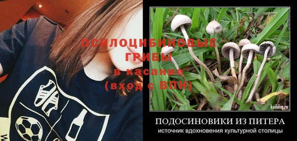 крисы Алексеевка