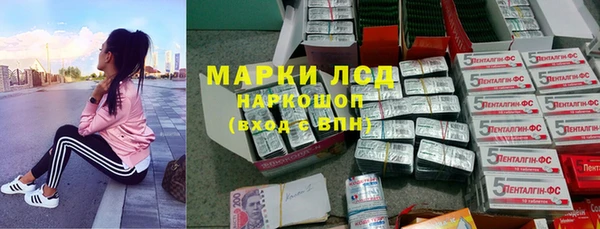 спайс Алзамай