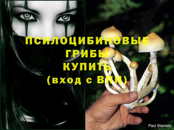спайс Алзамай