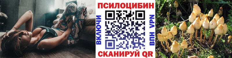 Псилоцибиновые грибы мицелий  МЕГА tor  Москва 